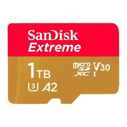 Carte Micro SD SANDISK 1To V30 A2