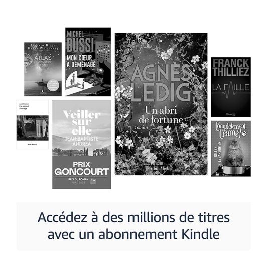 Liseuse AMAZON Kindle Paperwhite ( 2024) -16GB-Noir-avec pub - 12ème génération.