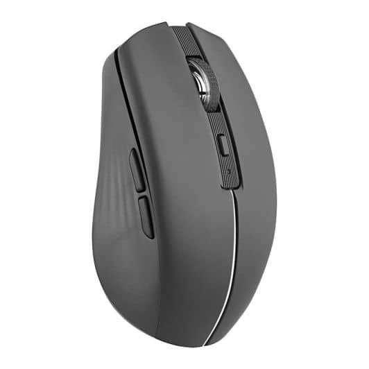 Souris rechargeable bluetooth DUAL CONNECT noire - GRADIENT