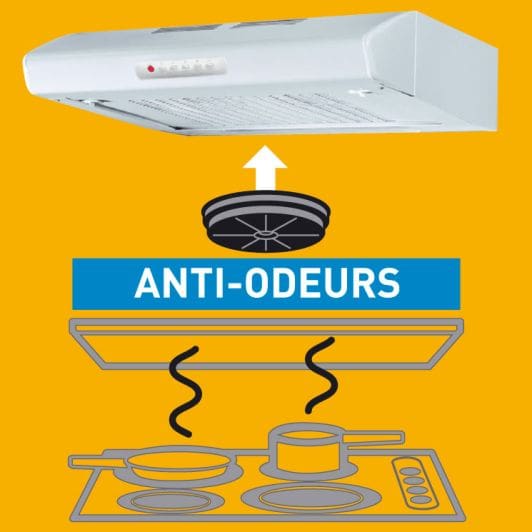 Filtre à charbon anti-odeurs ED190