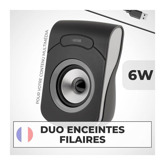 Enceintes APM Filaires USB 2.0 - Duo Haut-Parleurs PC