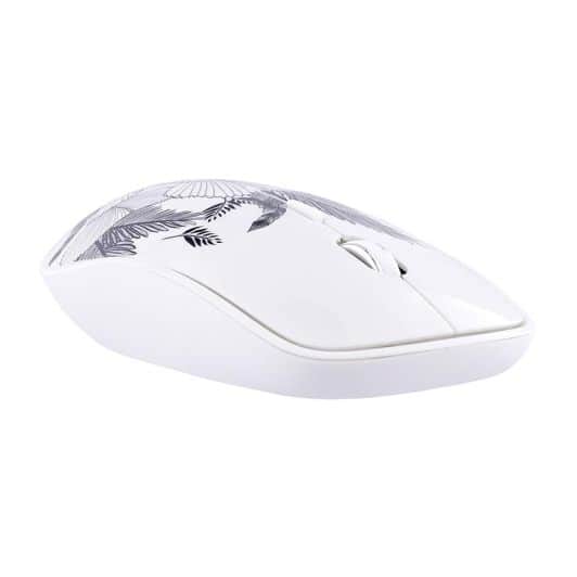 Souris sans fil TNB + tapis Leaf