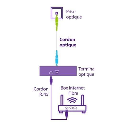 CORDON FIBRE OPTIQUE COMPATIBLE FREE 10M