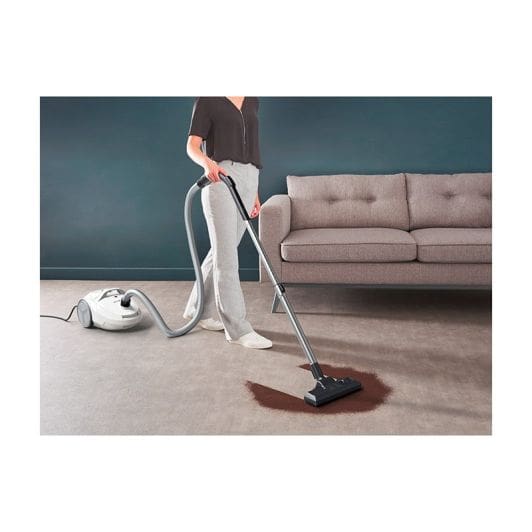 Aspirateur ROWENTA RO3967EA